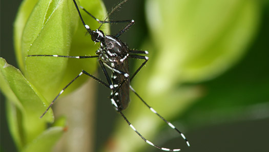 (Foto: Björn Pluskota, lfD)